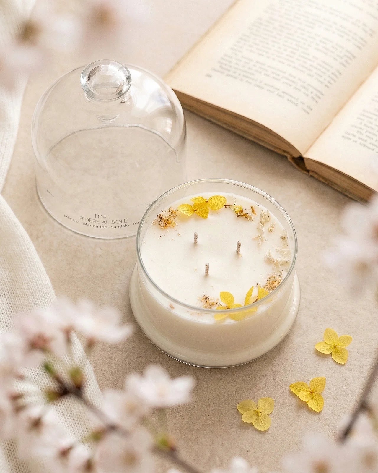 Candela profumata artigianale botanica di cera di soia in campana di vetro con tre stoppini e composizione di petali e fiori essiccati | Profumo mimosa, mandarino, sandalo, tonka