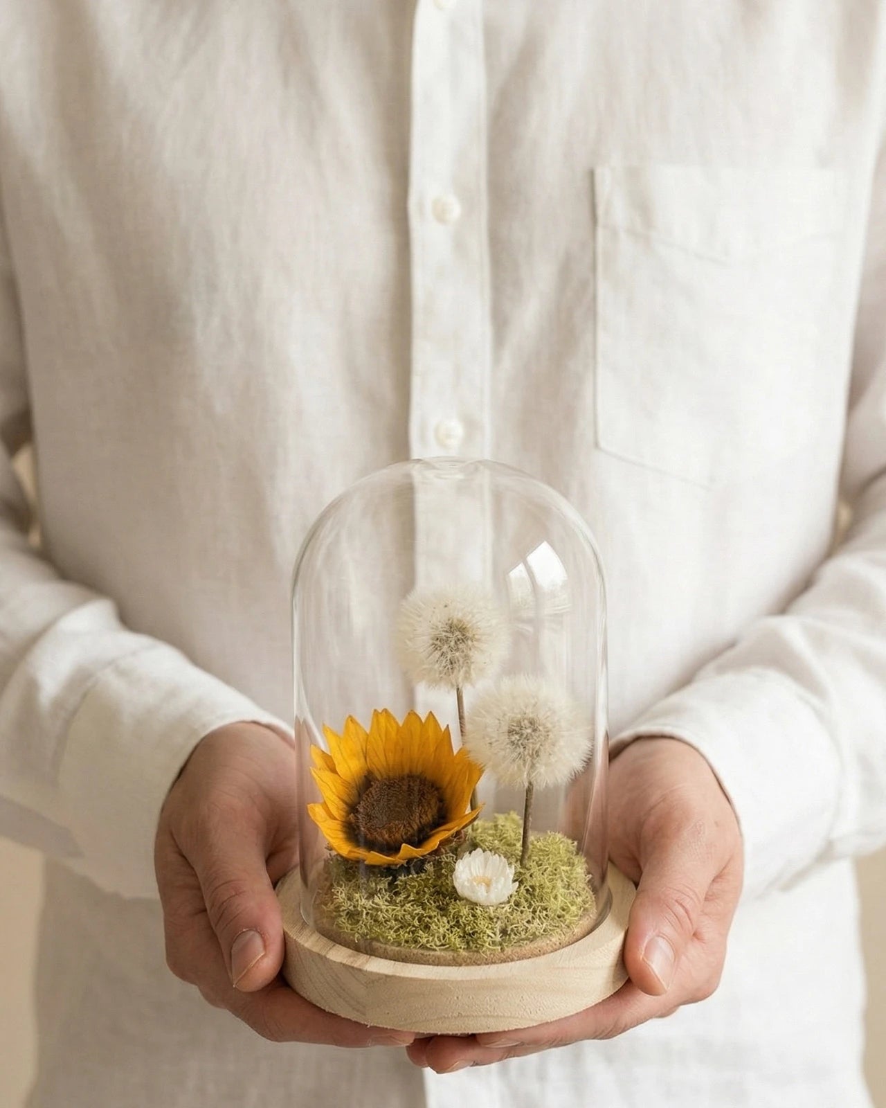 Mani che tengono la campana di vetro Alma Luciente con girasole e soffioni stabilizzati - terrarium botanico artigianale Io Sono La Luce