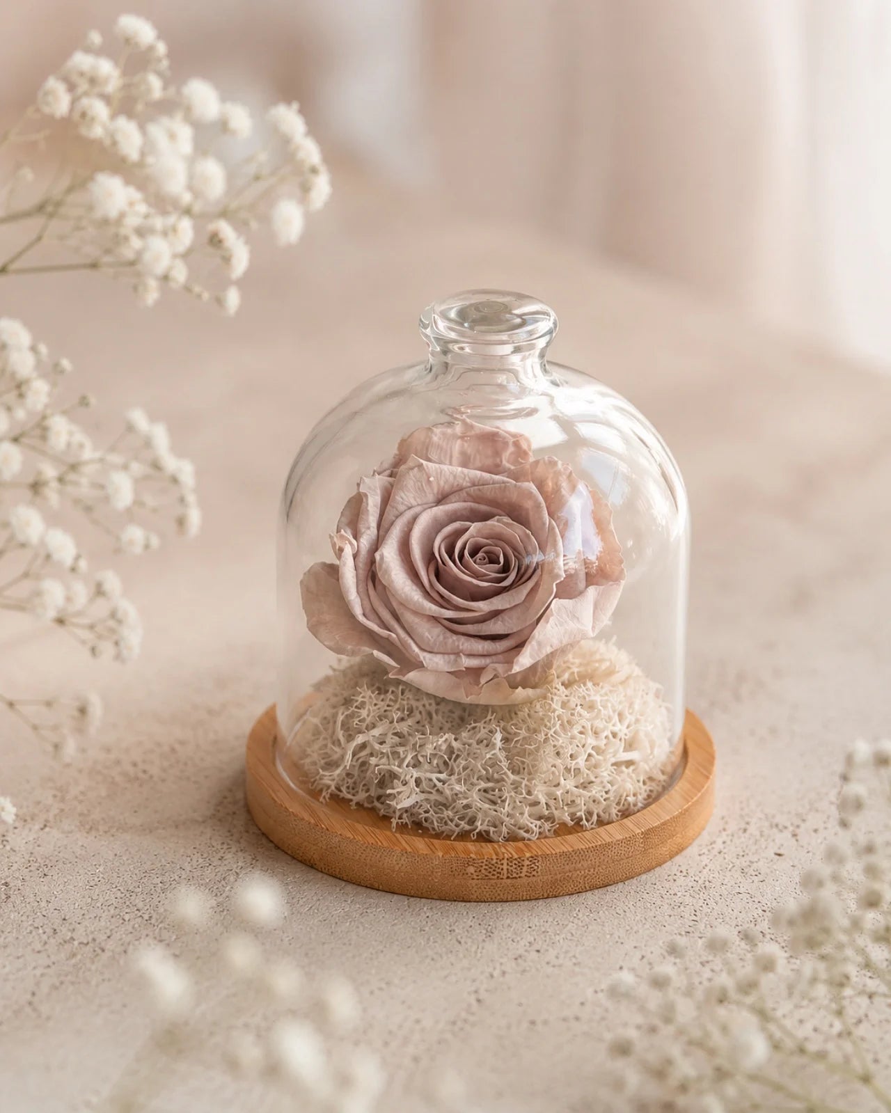 Fabula - Rosa stabilizzate in campana di vetro e su base in legno color bambù | Dimensione grande colore tortora chiaro