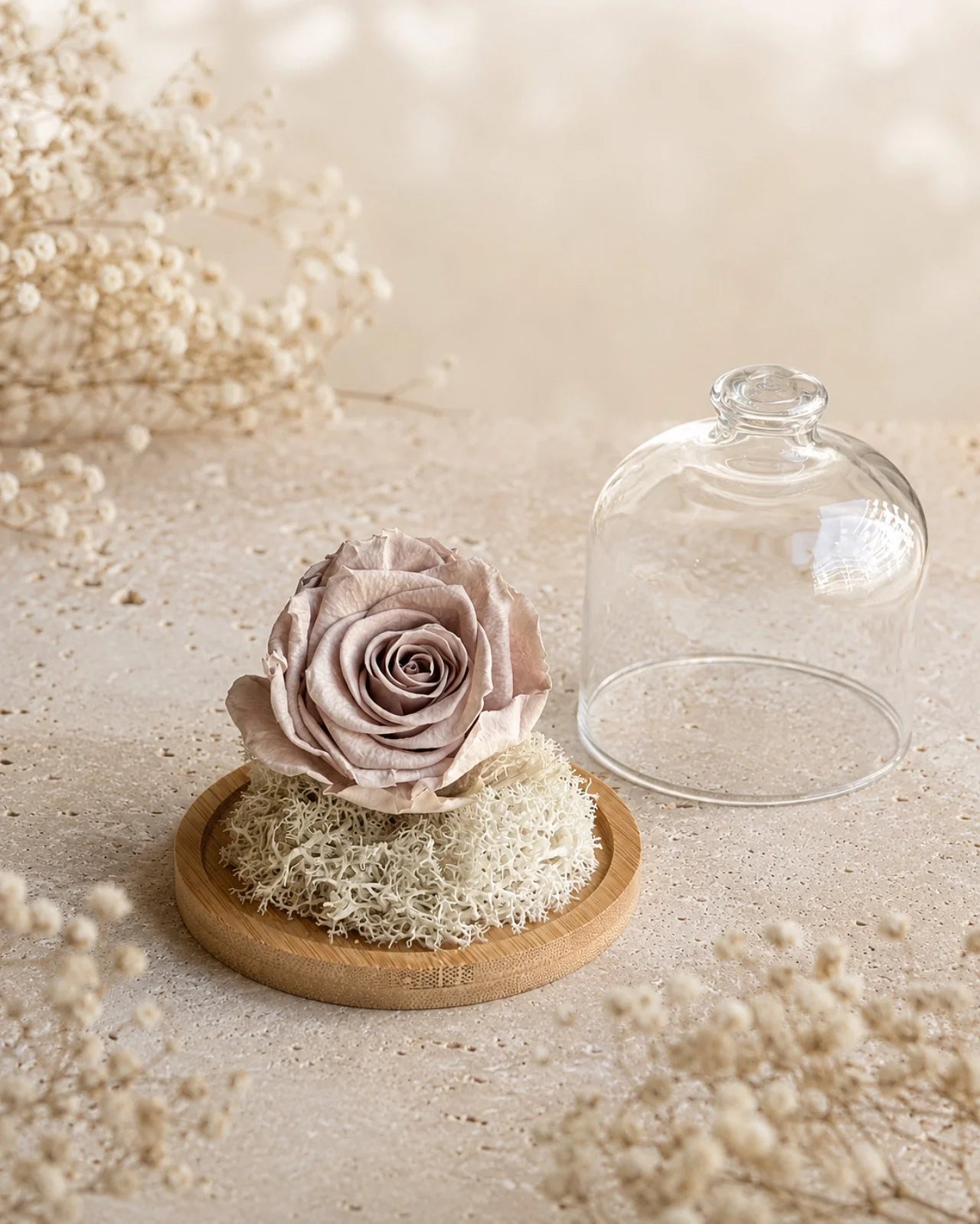Fabula - Rosa stabilizzate con base di legno - Roma