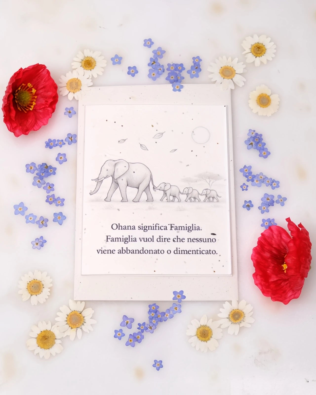 FlorienSoul | Biglietti di Auguri in Carta Piantabile