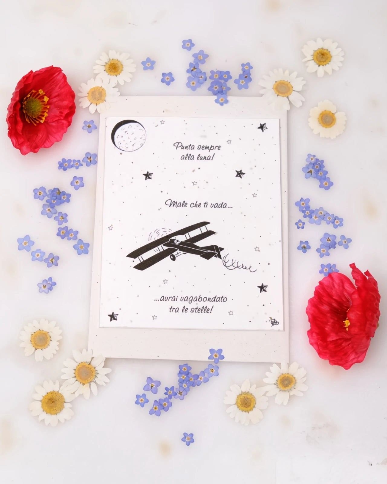 FlorienSoul | Biglietti di Auguri in Carta Piantabile