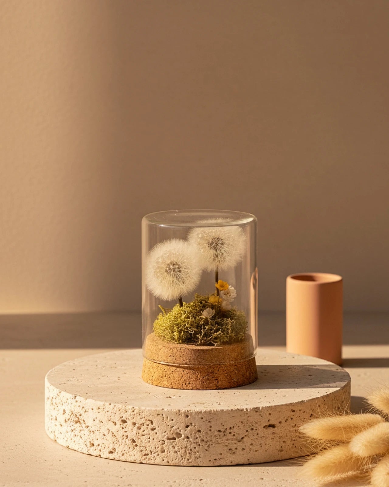 collezione giardino dei desideri | Terrarium con Soffioni Stabilizzati e Prato Muschio Stabilizzato in Ampolle o Campane di Vetro con Base in Legno e Sughero - Idea regalo unica e poetica | Misura Media Soffioni Duo