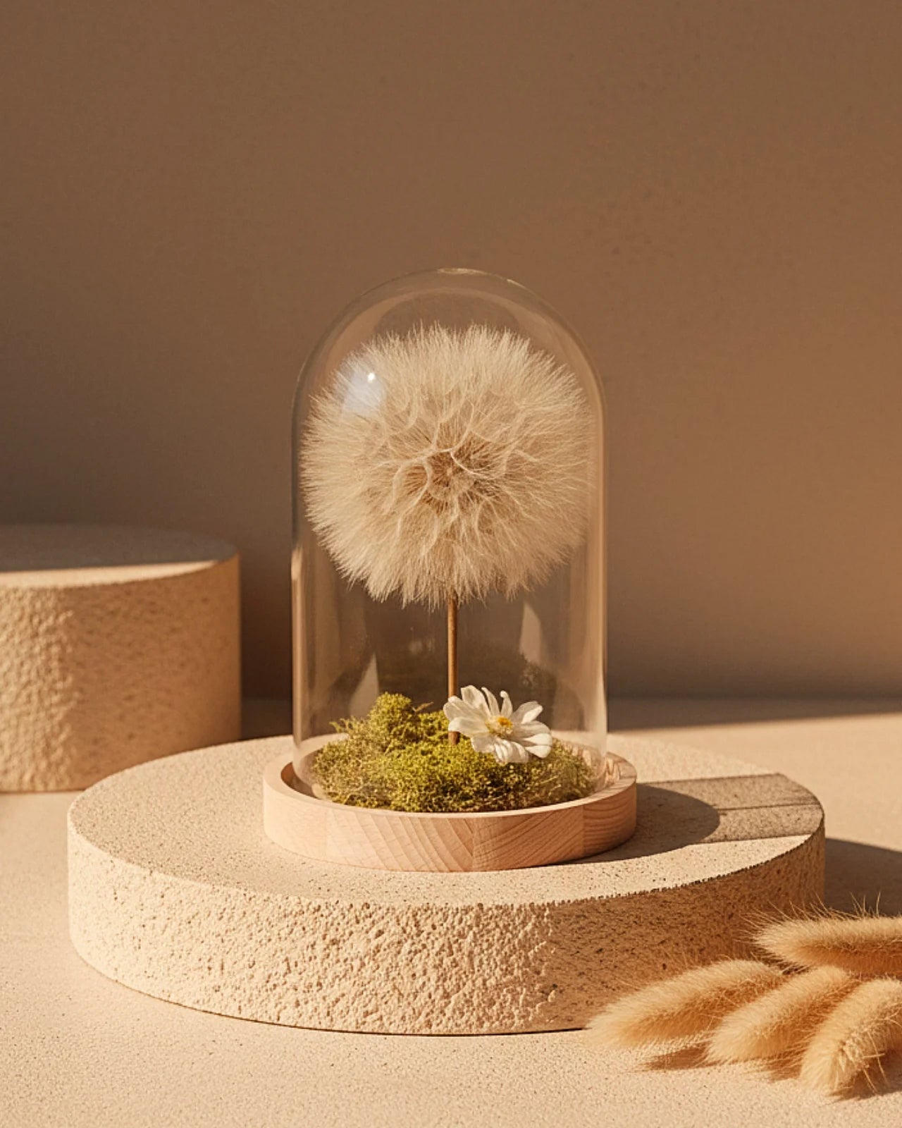 collezione giardino dei desideri | Terrarium con Soffioni Stabilizzati e Prato Muschio Stabilizzato in Ampolle o Campane di Vetro con Base in Legno e Sughero - Idea regalo unica e poetica | Misura Majestic Soffione XL in Campana di Vetro Maxi