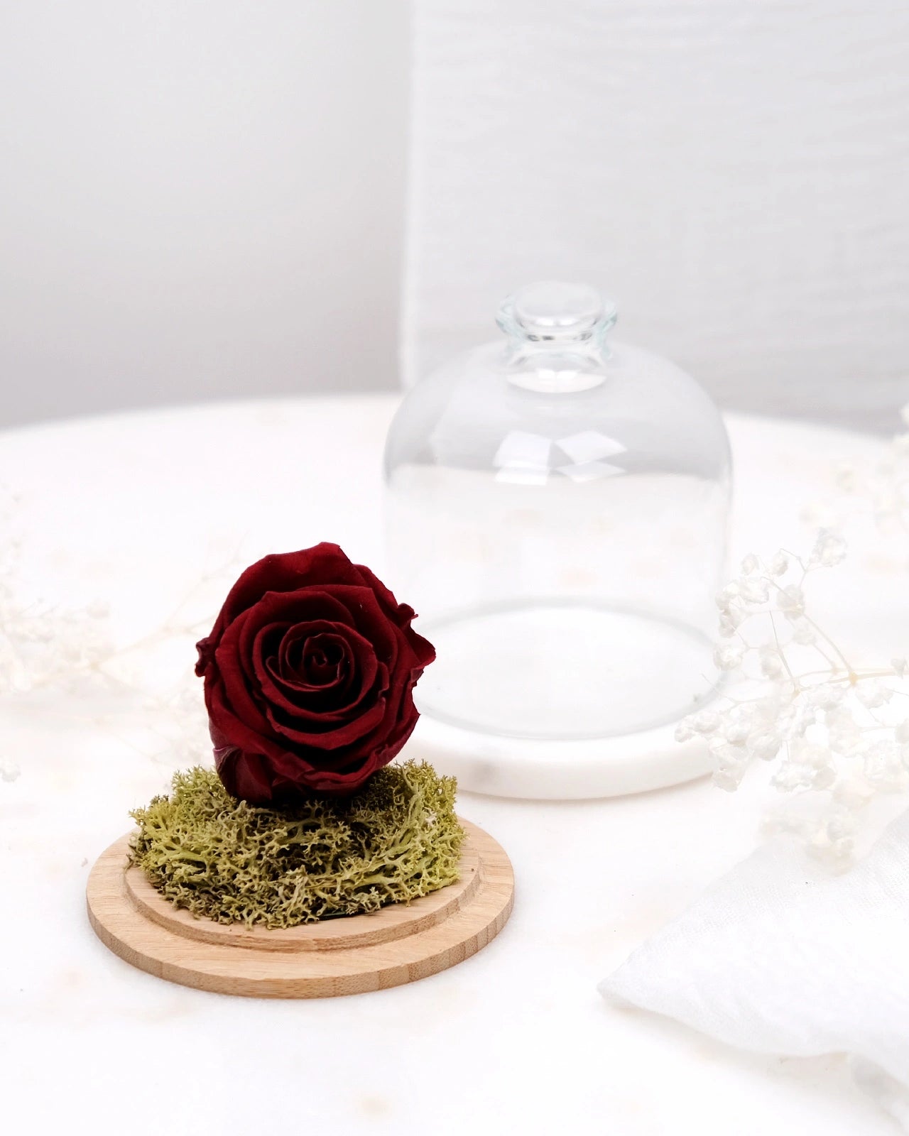 rosa stabilizzata sotto campana di vetro colore bordeaux