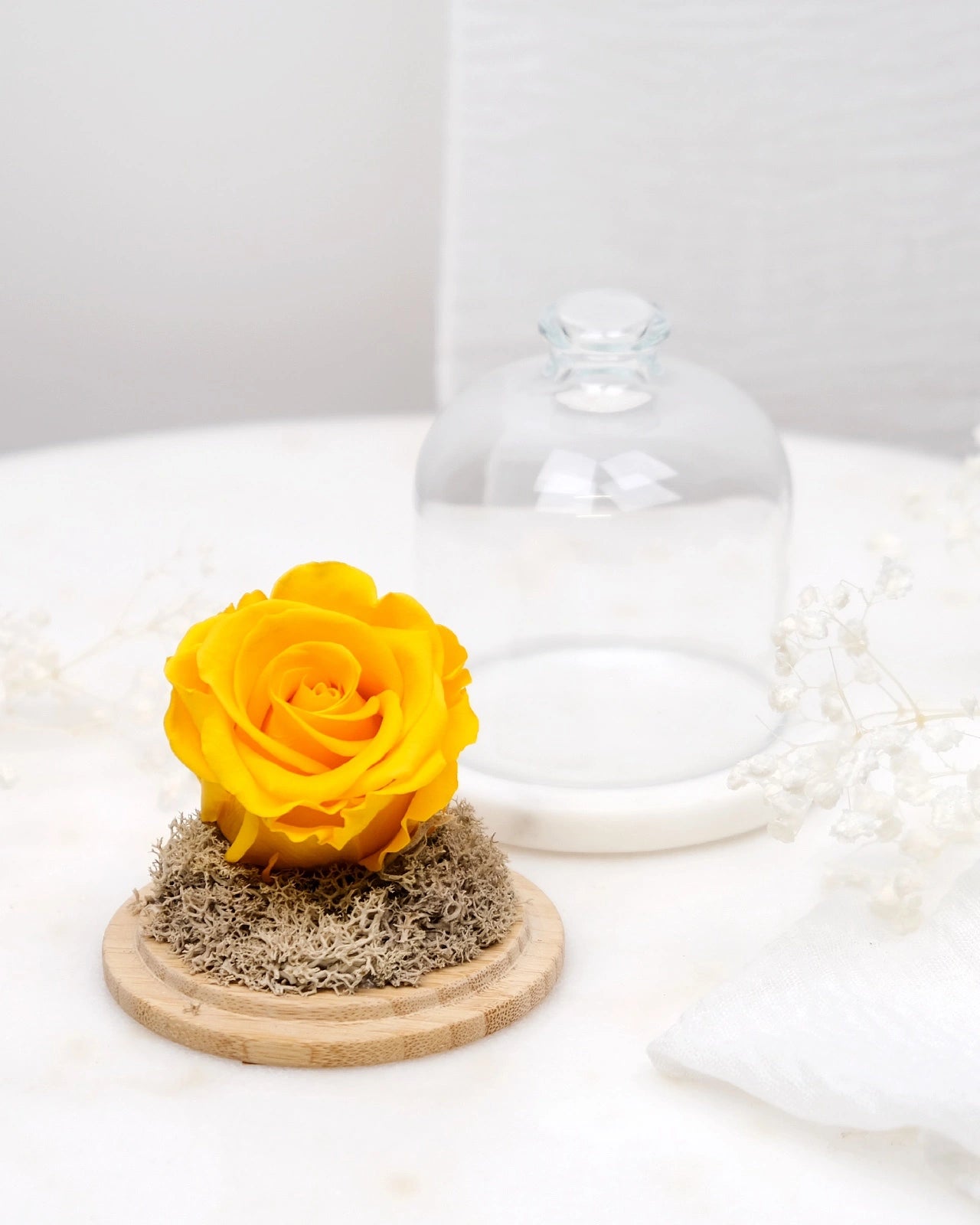 rosa stabilizzata sotto campana di vetro colore giallo caldo