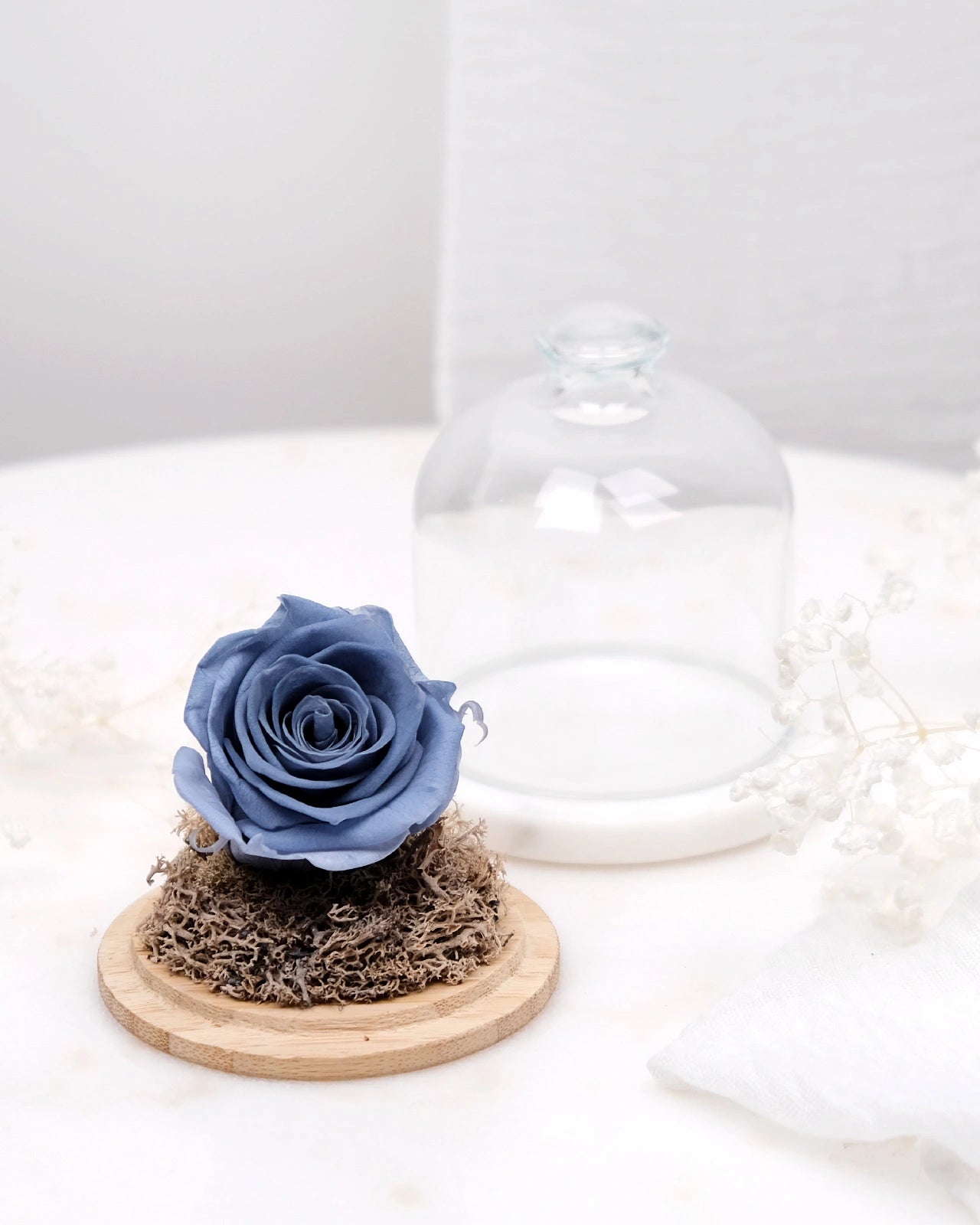 rosa stabilizzata sotto campana di vetro colore polvere Dusty blue