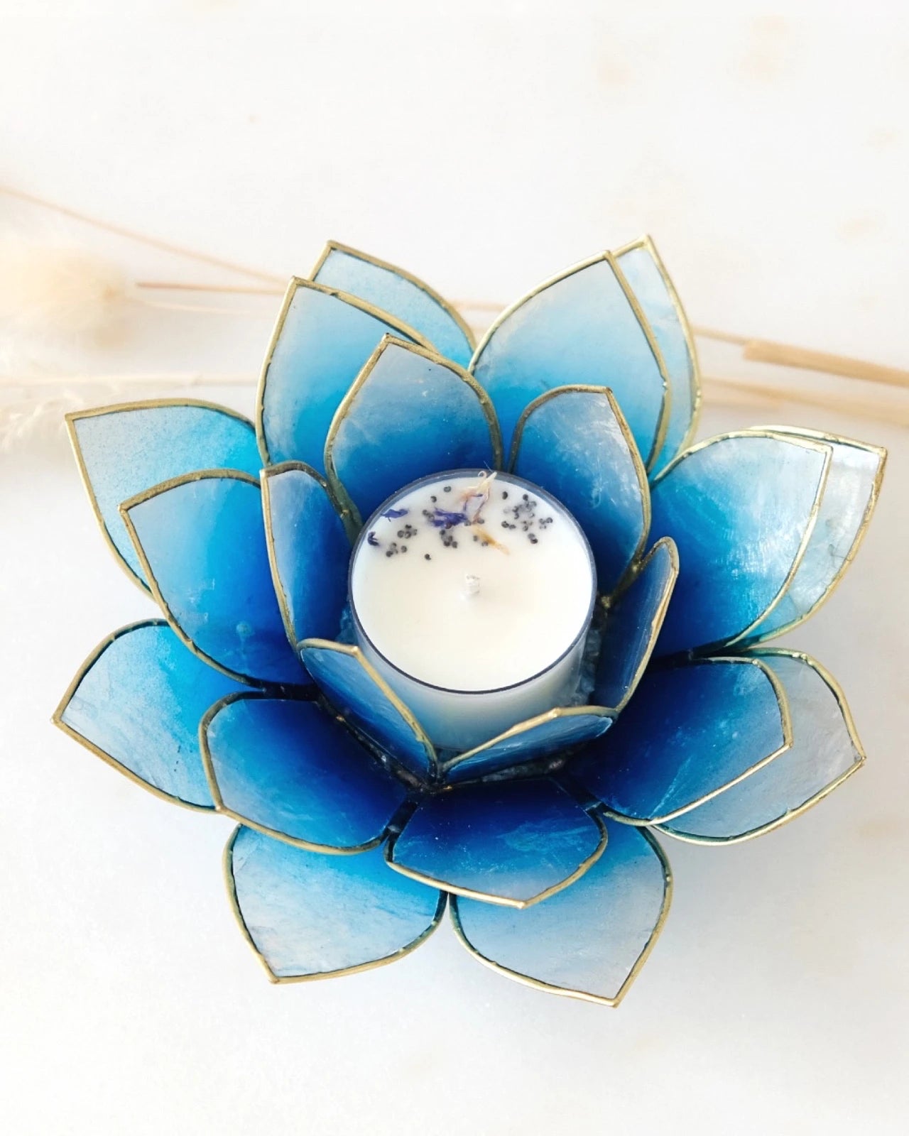 Puro: portacandele a forma di fior di loto in conchiglia celeste sfumato