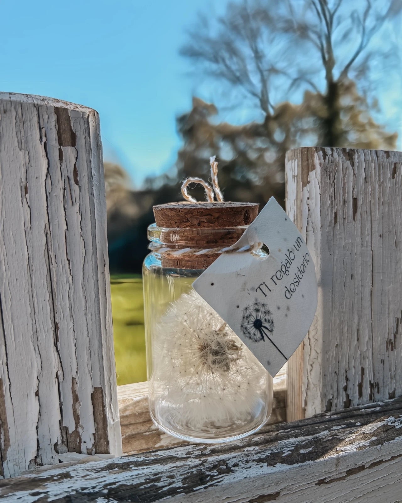 tag in carta piantatile con semi di fiori di campo che accompagna il soffione in ampolla