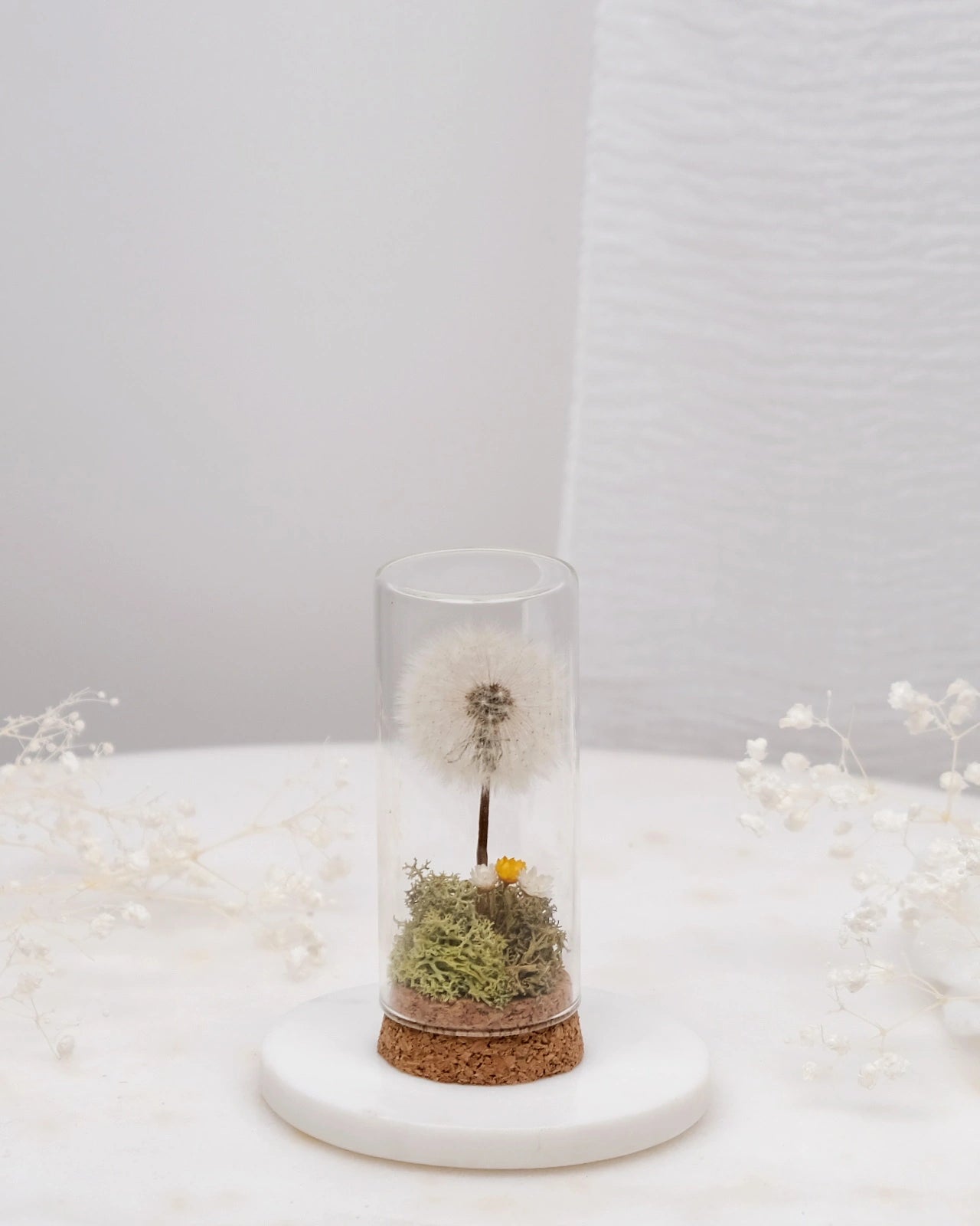 dente di leone ( soffione ) preservato in ampolla di vetro con base di sughero con glixie e muschio verde stabilizzato