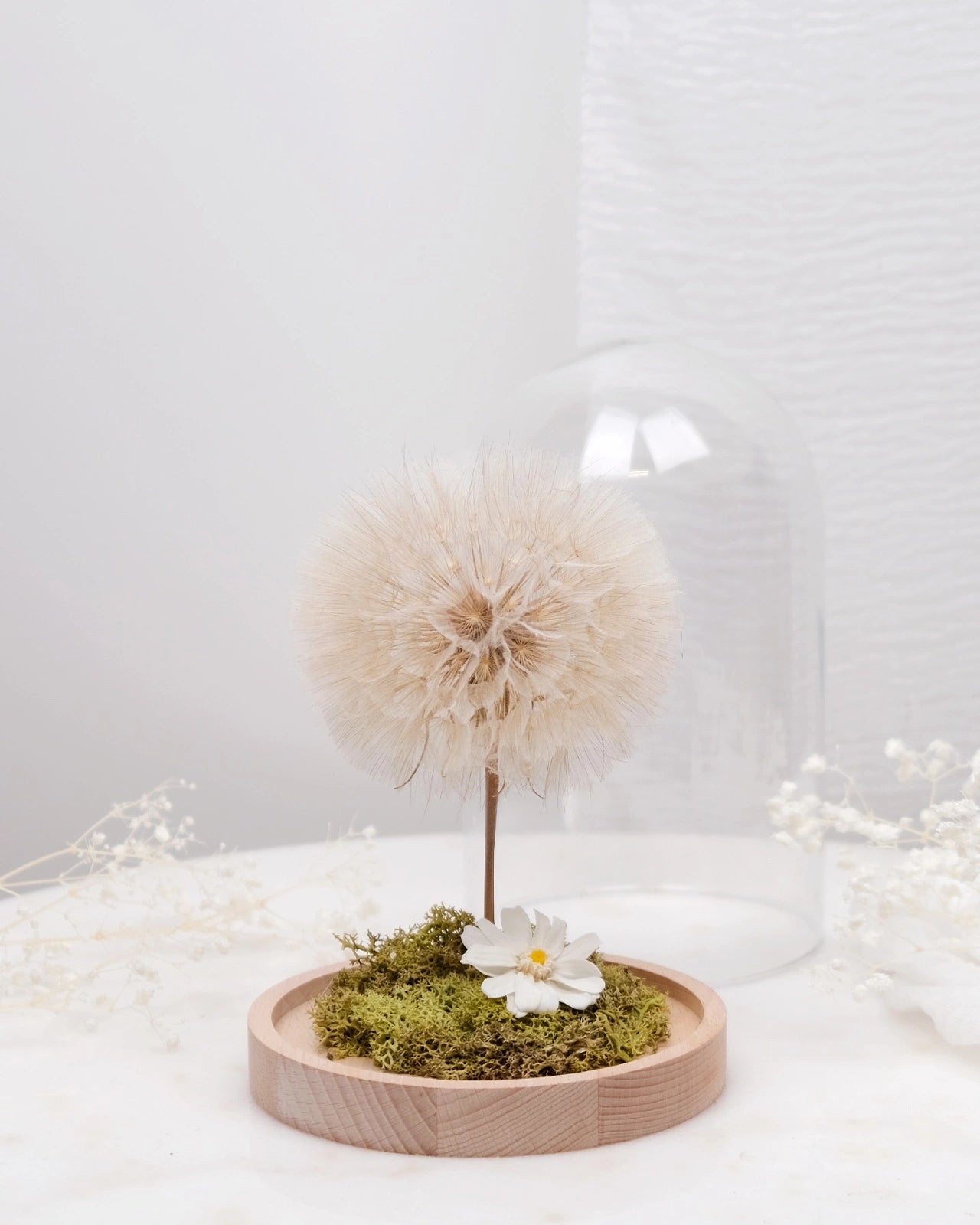 soffione maxi stabilizzato con muschio stabilizzato e glixia gigante