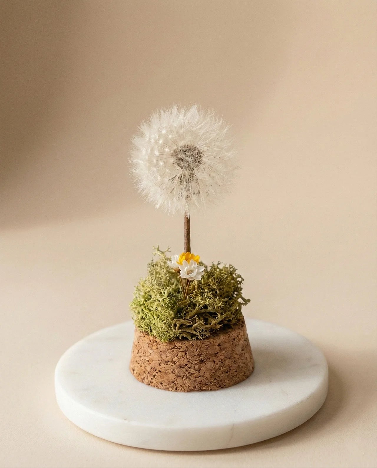 dettaglio del giardino dei desideri con soffione stabilizzato, muschio e glixie