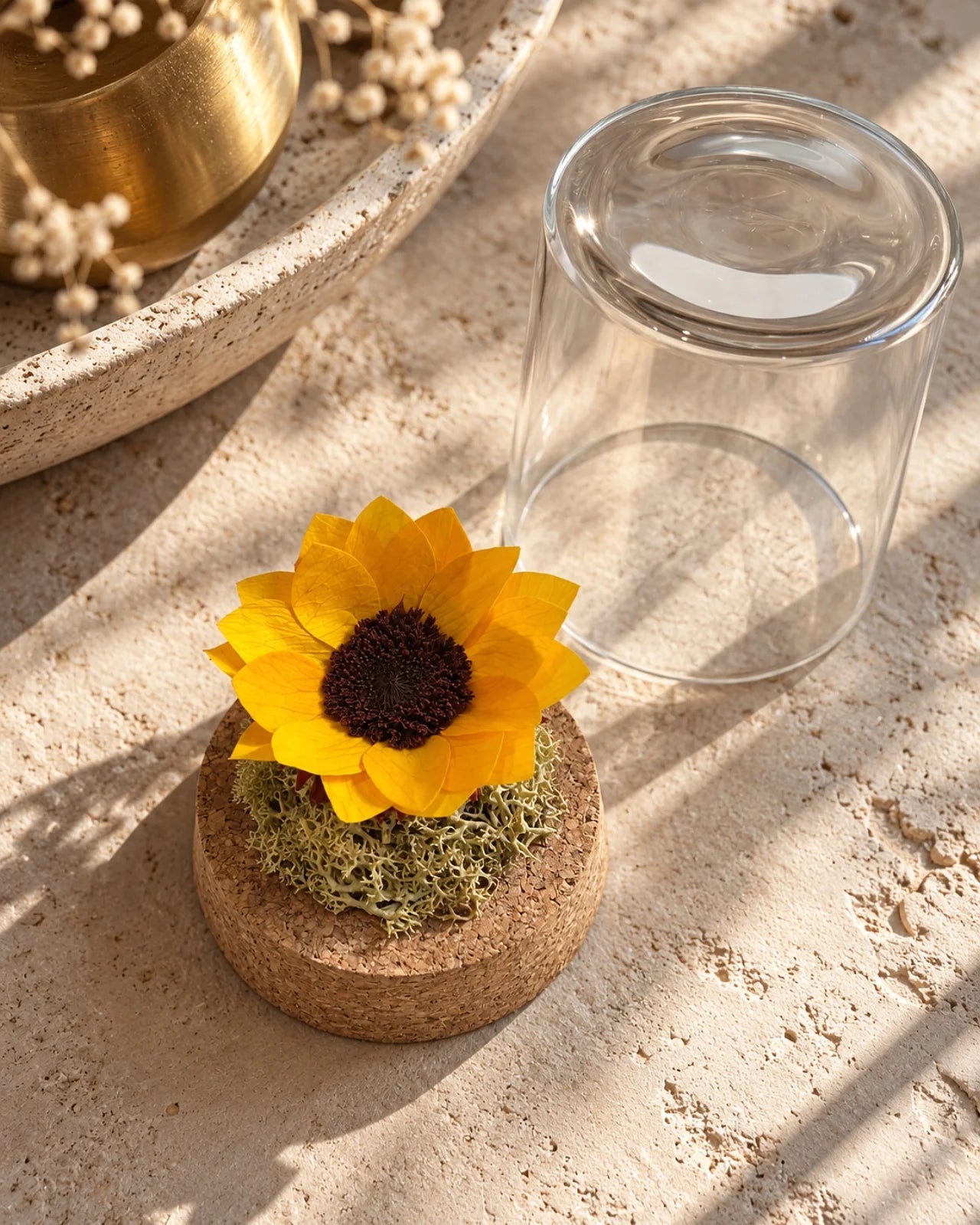 Girasole stabilizzato in cloche vetro con muschio e sughero