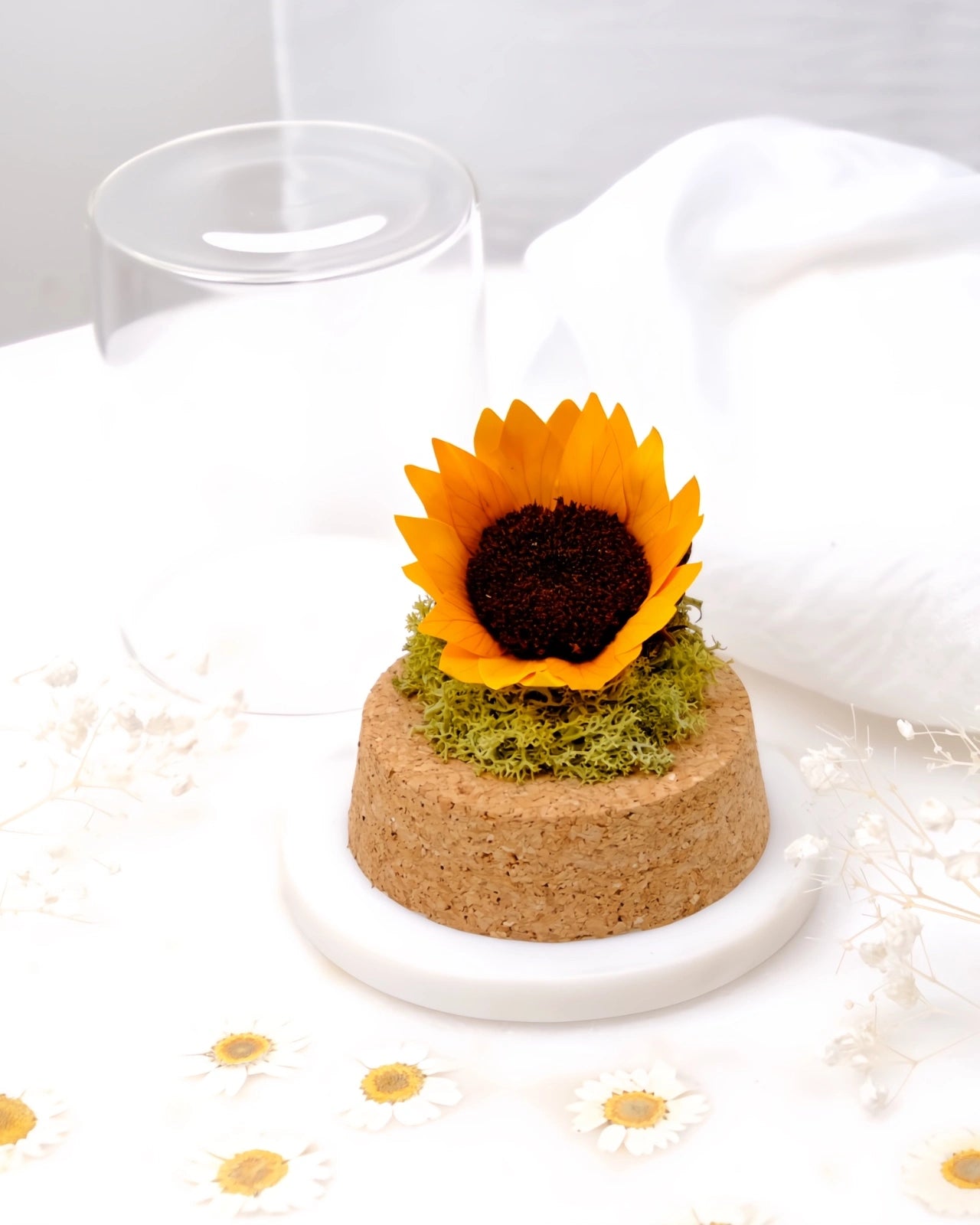 Girasole stabilizzato in ampolla di vetro con base sughero