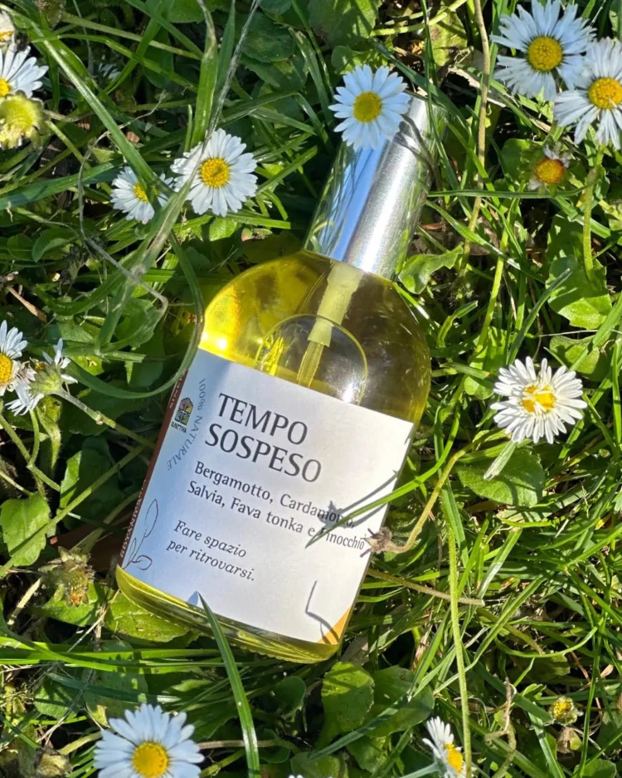 Tempo Sospeso di Olfattiva | Profumo botanico naturale da 115 ml | Concept Store Roma