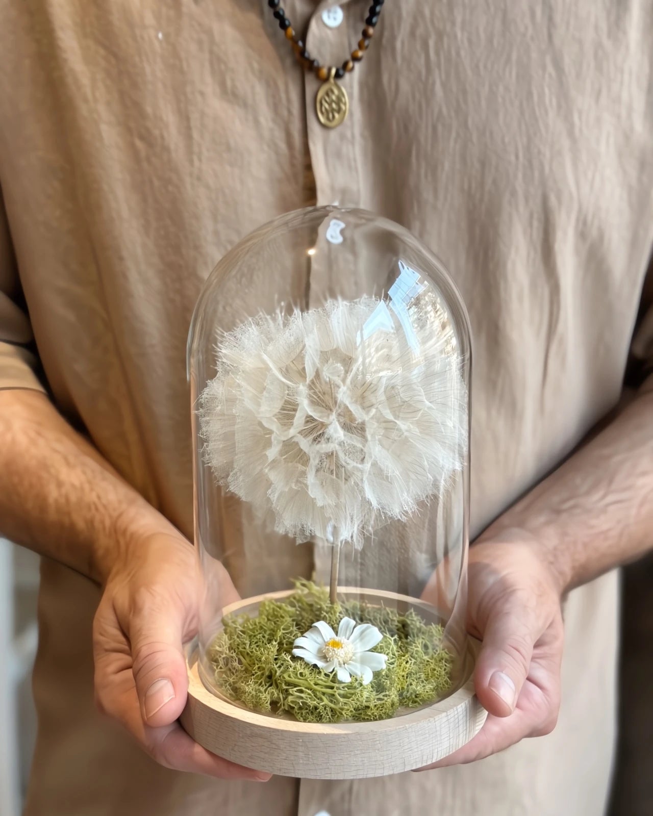 soffione maxi stabilizzato ( frutto del fiore di tragopogon ) con muschio stabilizzato e glixia in campana di vetro con base di legno - misura XL | Roma