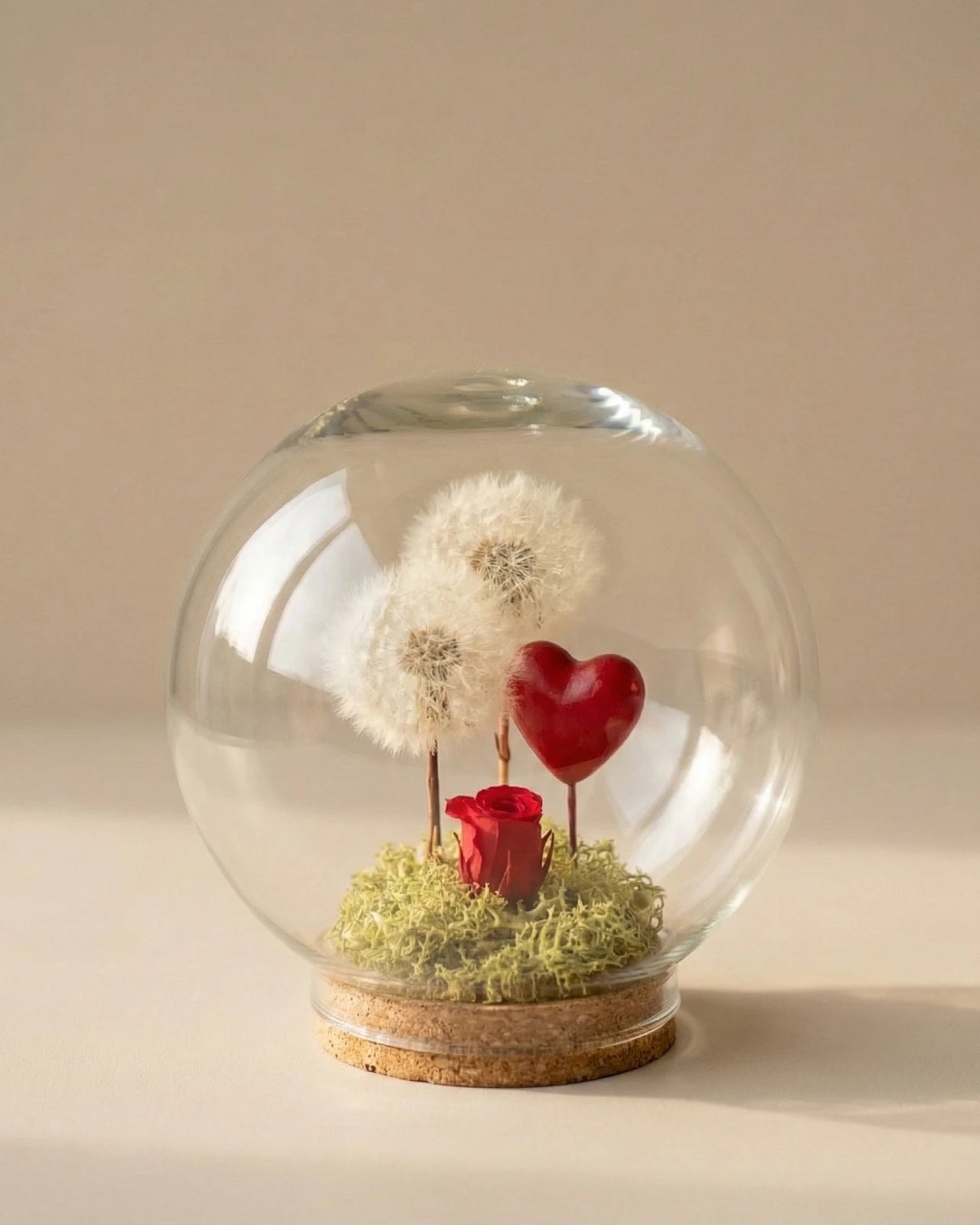 Composizione botanica sfera vetro con due soffioni bianchi preservati rosa rossa cuore rosso - terrarium romantico