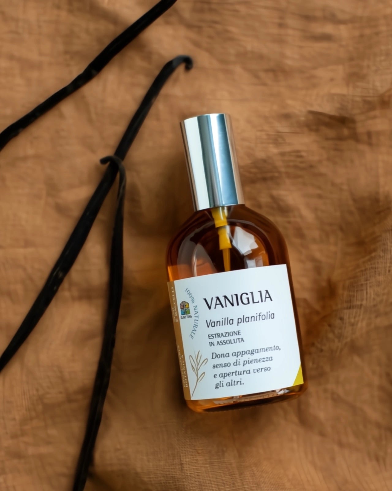 Vaniglia di Olfattiva | Profumo botanico naturale con olio essenziale purissimo di vaniglia bourbon | Roma