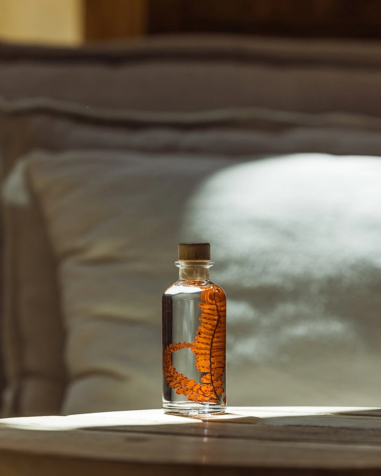 wabi sabi herbarium giapponese artigianali con fiori conservati in bottiglia di vetro farmaceutico e tappo in legno naturale - foglia stabilizzata di felce rossastra - dimensione piccola