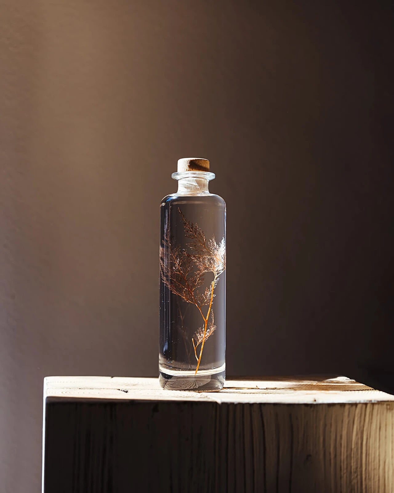 wabi sabi herbarium giapponese artigianali con fiori conservati in bottiglia di vetro farmaceutico e tappo in legno naturale - foglia stabilizzata di felce neve - dimensione grande