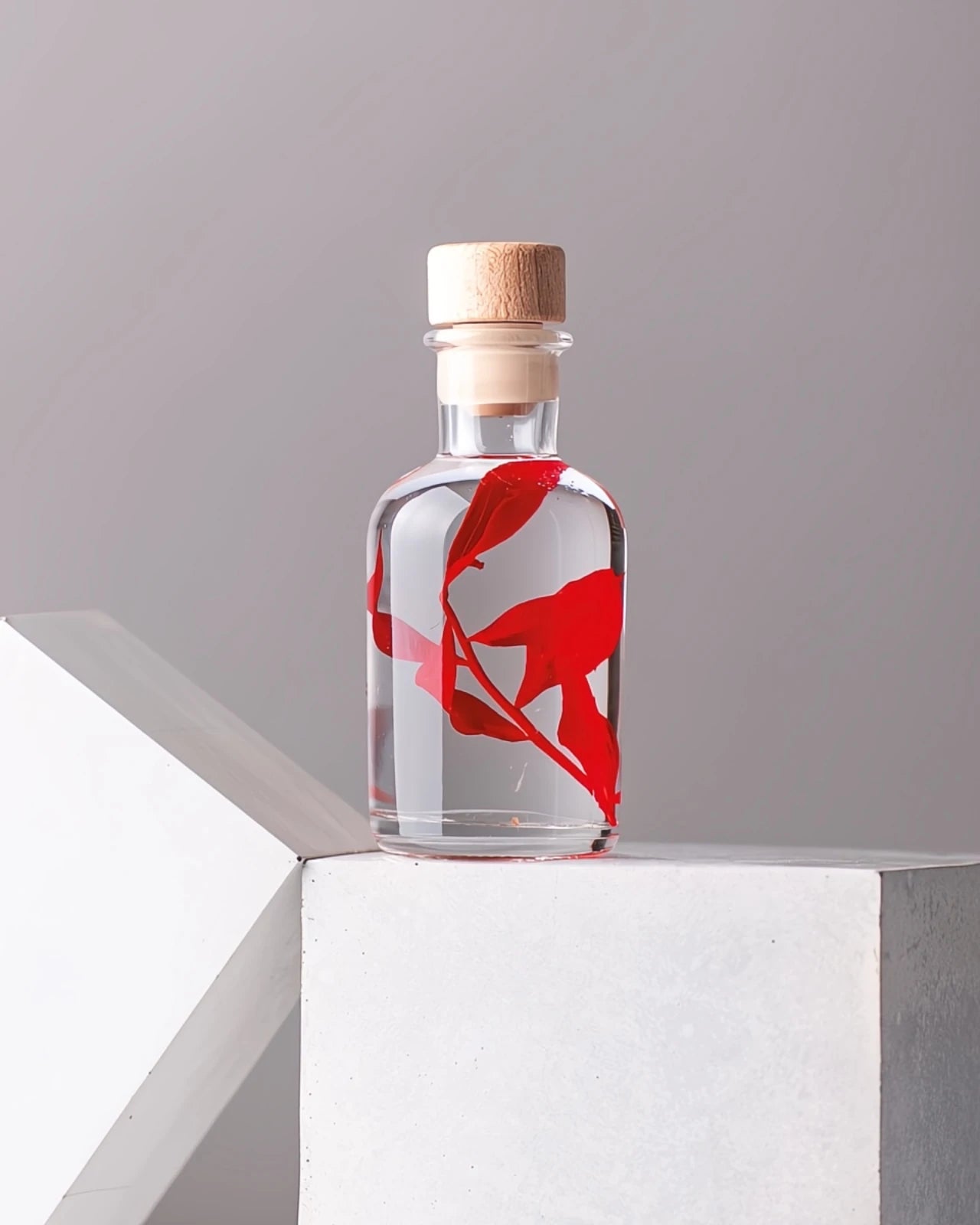 wabi sabi herbarium giapponese artigianali con fiori conservati in bottiglia di vetro farmaceutico e tappo in legno naturale - ramo di ruscus rosso - dimensione piccola