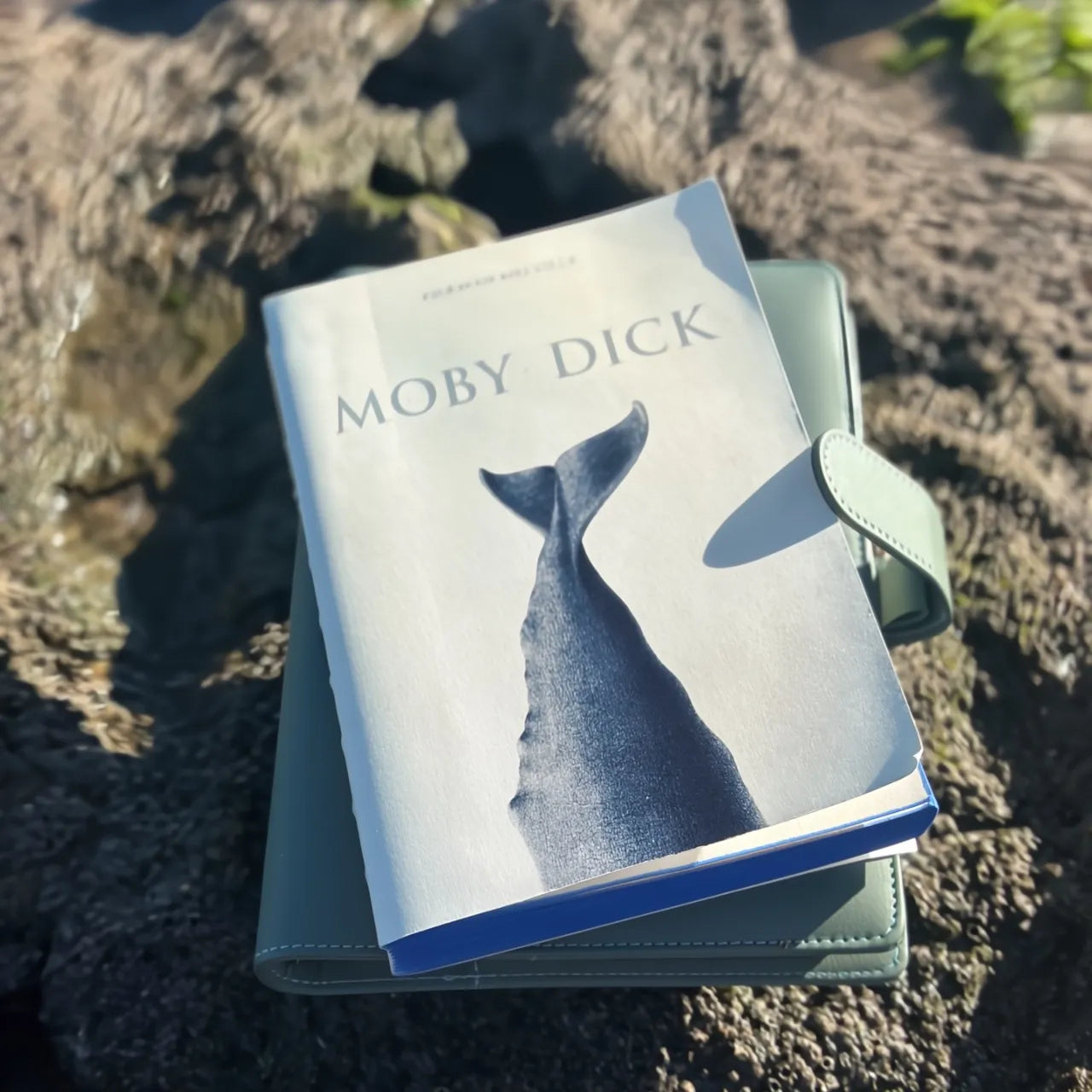 Taccuini e Scrittura