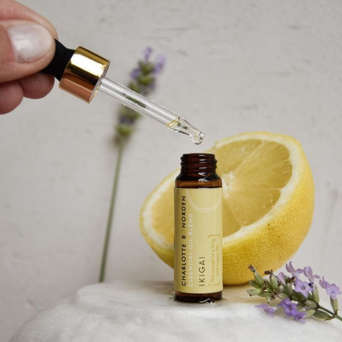 Bonorden: Sinergia Oli Essenziali Aromaterapia Ricerca di uno Scopo Felice