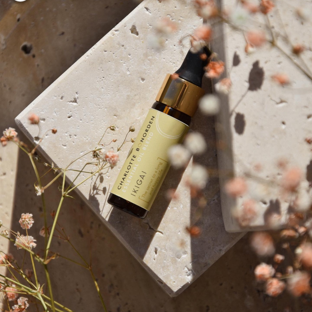 Bonorden: Sinergia Oli Essenziali Aromaterapia Ricerca di uno Scopo Felice