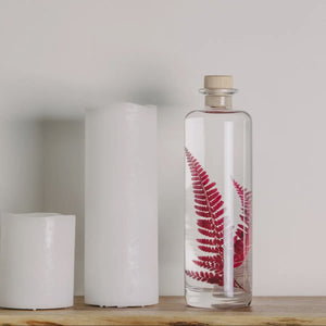 Herbarium Giapponese in Bottiglia di Vetro Farmaceutica