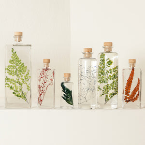 Herbarium Giapponese in Bottiglia di Vetro Farmaceutica