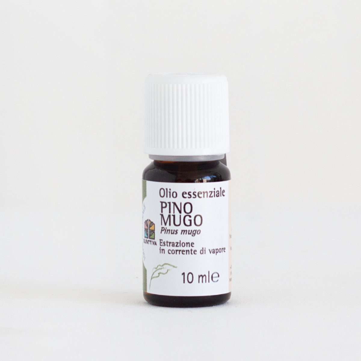 Olfattiva: Olio Essenziale di Pino Mugo Aromaterapia