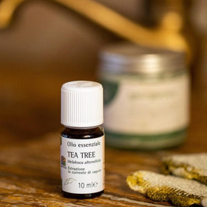 Olfattiva: Olio Essenziale di Tea Tree Aromaterapia