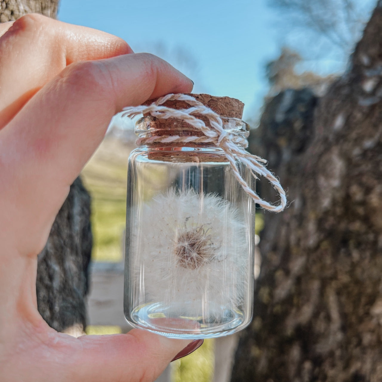 Make a Wish: Fiore Soffione in Ampolla di Vetro e Sughero