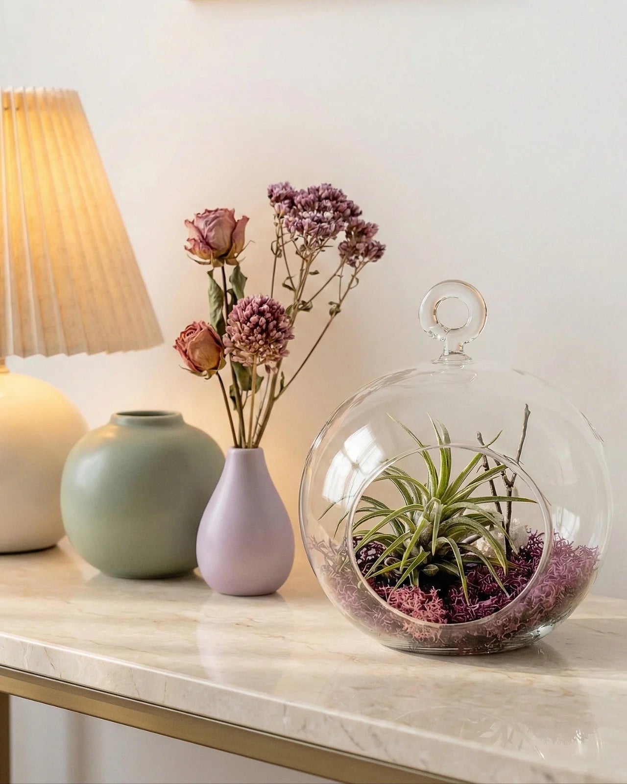 Tillandsia Ionantha in terrarium vetro con muschio stabilizzato viola prugna decorazione naturale moderna