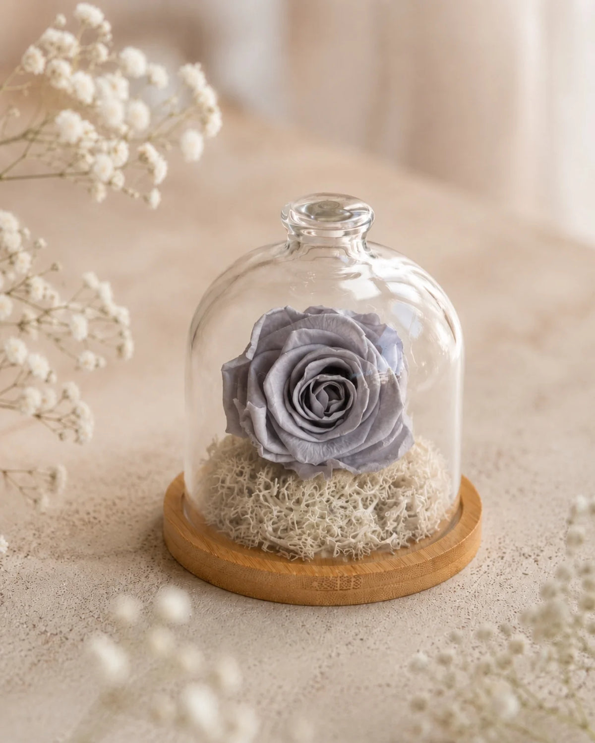 Fabula - Rosa stabilizzate in campana di vetro e su base in legno color bambù | Dimensione grande colore grigio