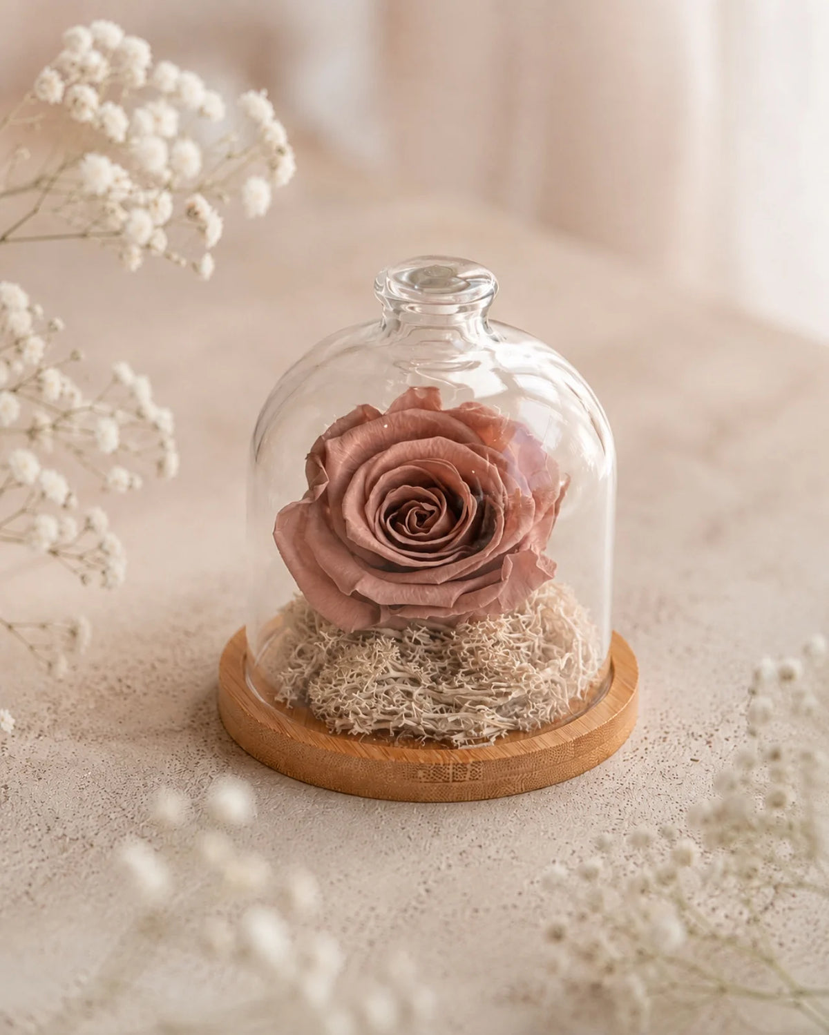 Fabula - Rosa stabilizzate in campana di vetro e su base in legno color bambù | Dimensione grande colore mocha mousse chiaro