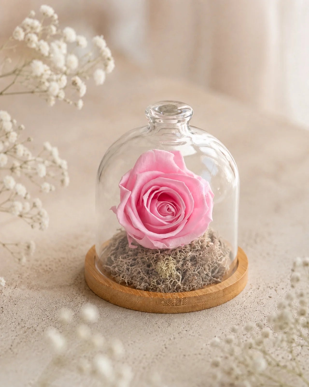 Fabula - Rosa stabilizzate in campana di vetro e su base in legno color bambù | Dimensione grande colore rosa sposa