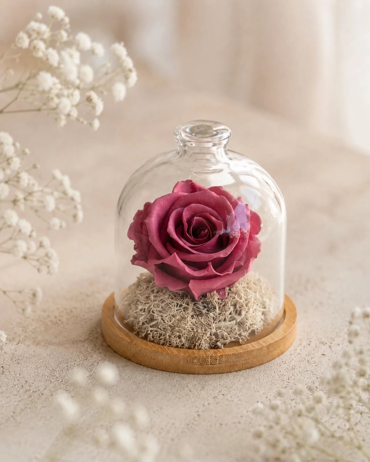 Fabula - Rosa stabilizzate in campana di vetro e su base in legno color bambù | Dimensione grande colore rosa vintage