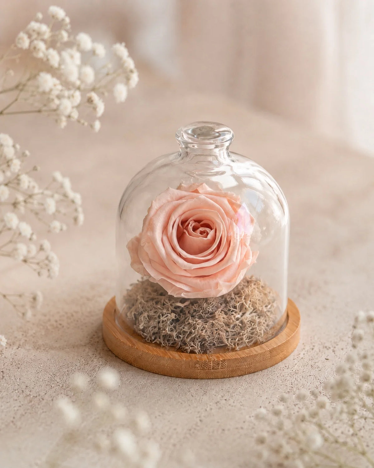 Fabula - Rosa stabilizzate in campana di vetro e su base in legno color bambù | Dimensione grande colore rosa cipria antico