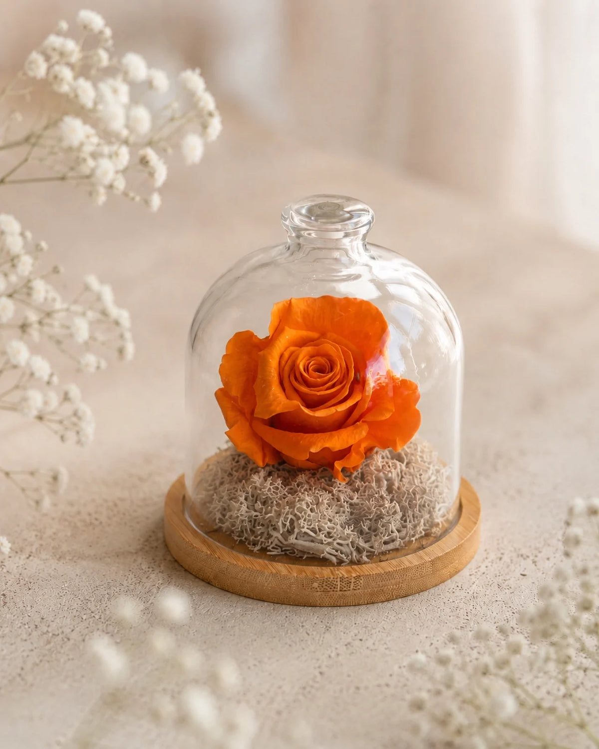 Fabula - Rosa stabilizzate in campana di vetro e su base in legno color bambù | Dimensione grande colore arancione