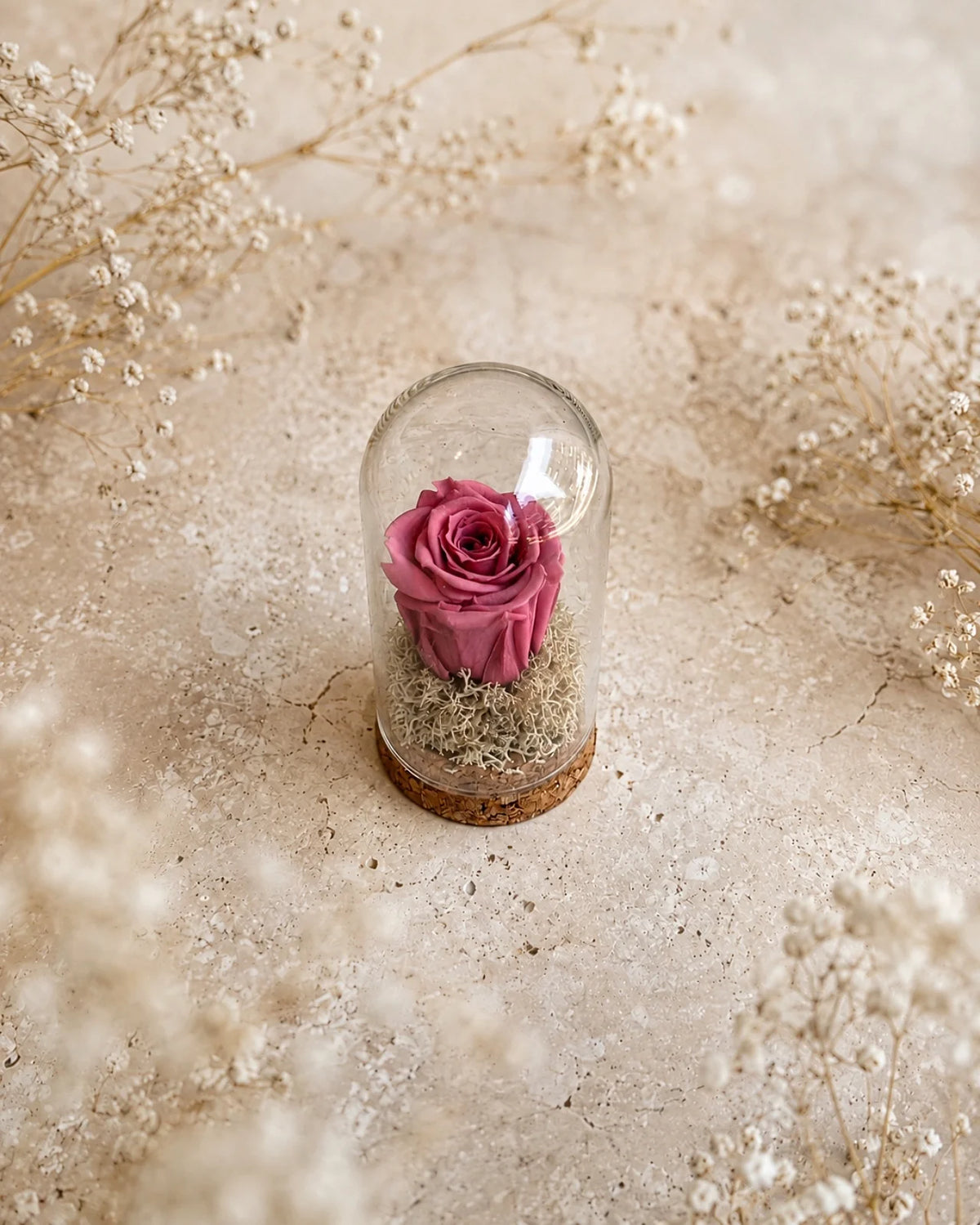 Fabula - Rosa stabilizzate in ampolla con campana di vetro e base di sughero | Dimensione Piccola colore rosa vintage