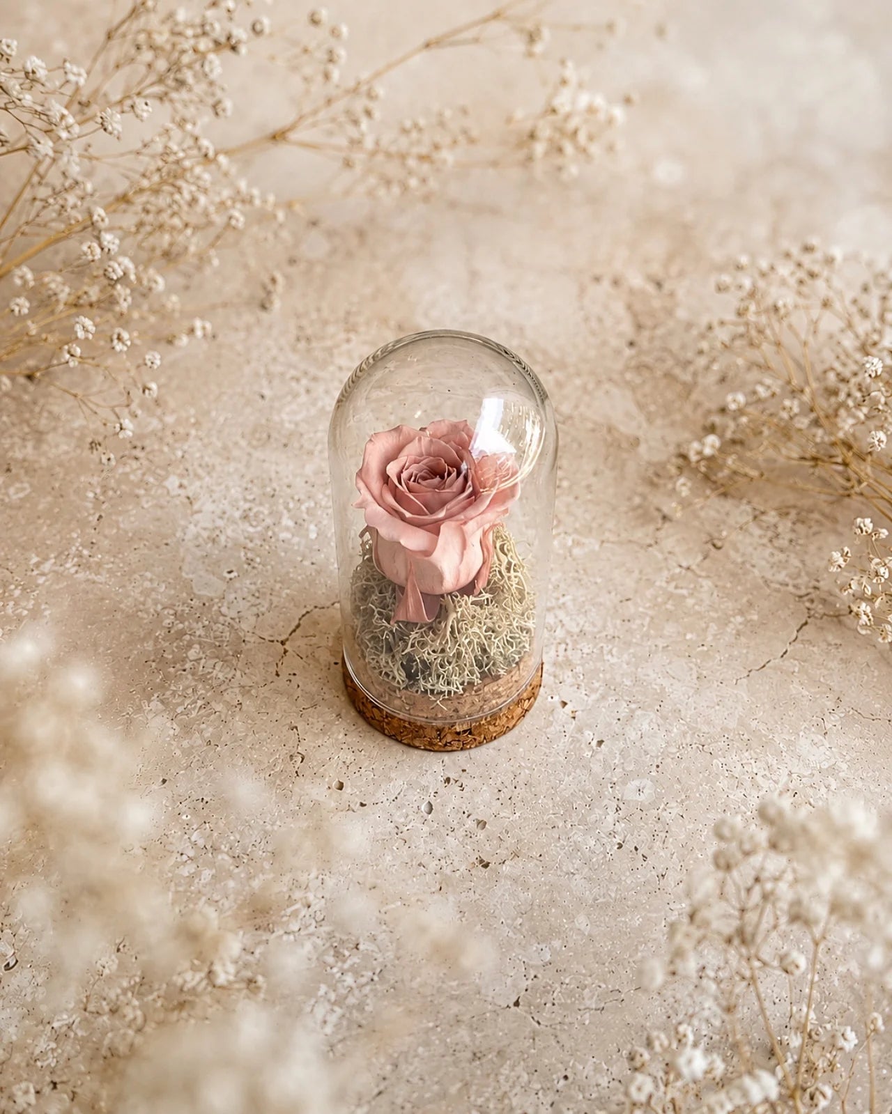 Fabula - Rosa stabilizzate in ampolla con campana di vetro e base di sughero | Dimensione Piccola colore rosa malva chiaro