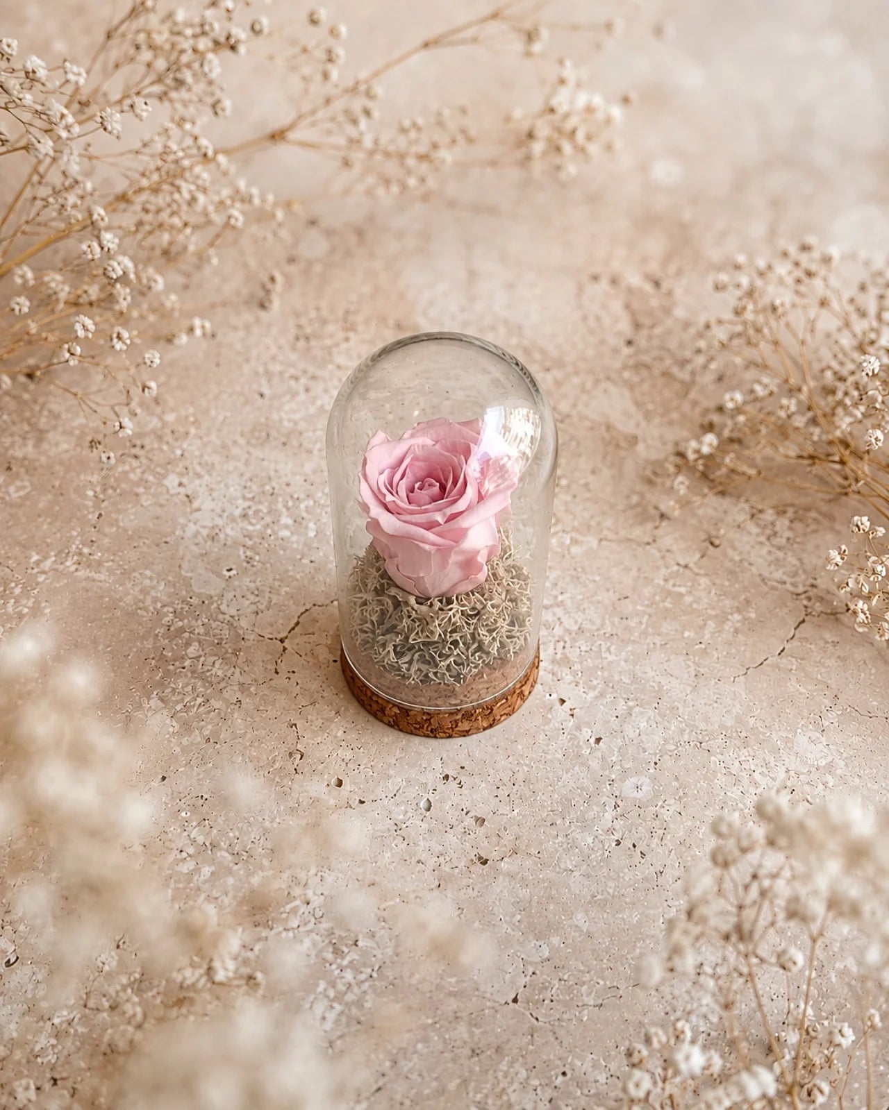 Fabula - Rosa stabilizzate in ampolla con campana di vetro e base di sughero | Dimensione Piccola colore rosa caramella