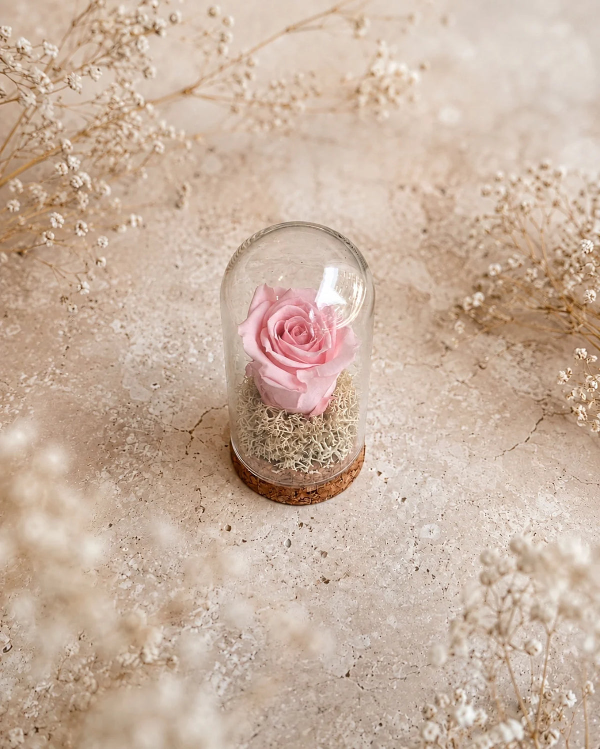 Fabula - Rosa stabilizzate in ampolla con campana di vetro e base di sughero | Dimensione Piccola colore rosa chiaro