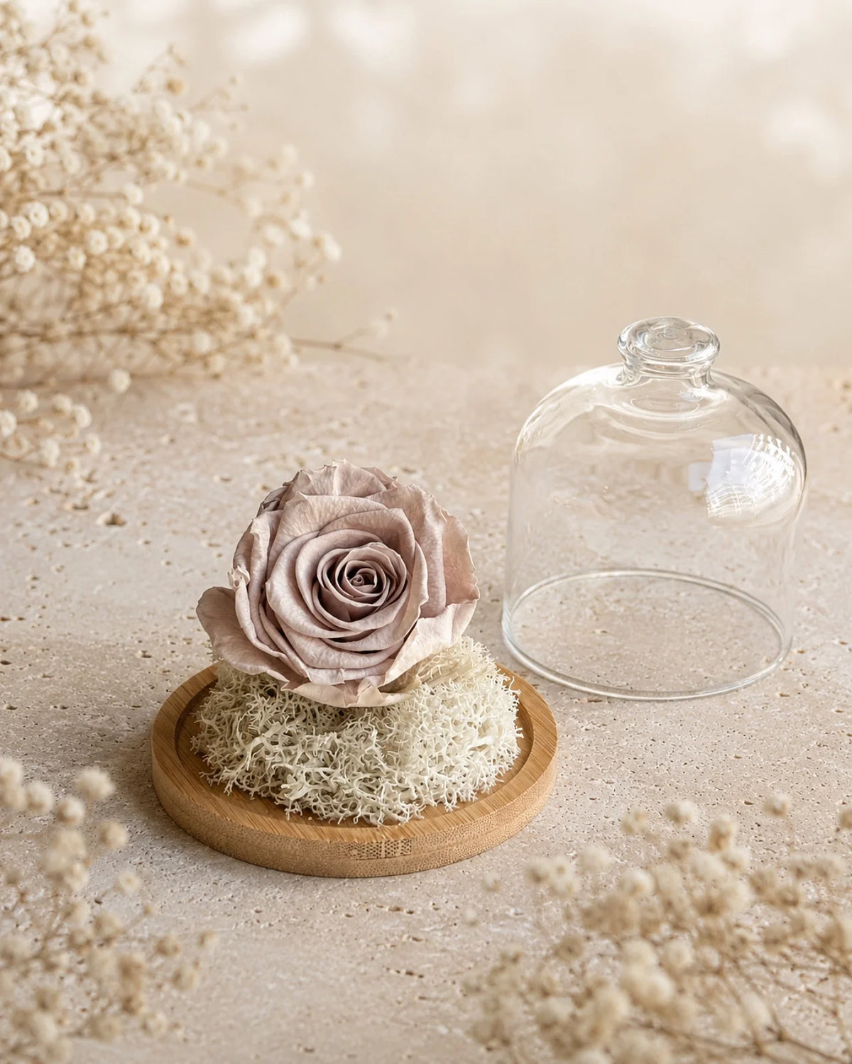 Fabula - Rosa stabilizzate con base di legno - Roma