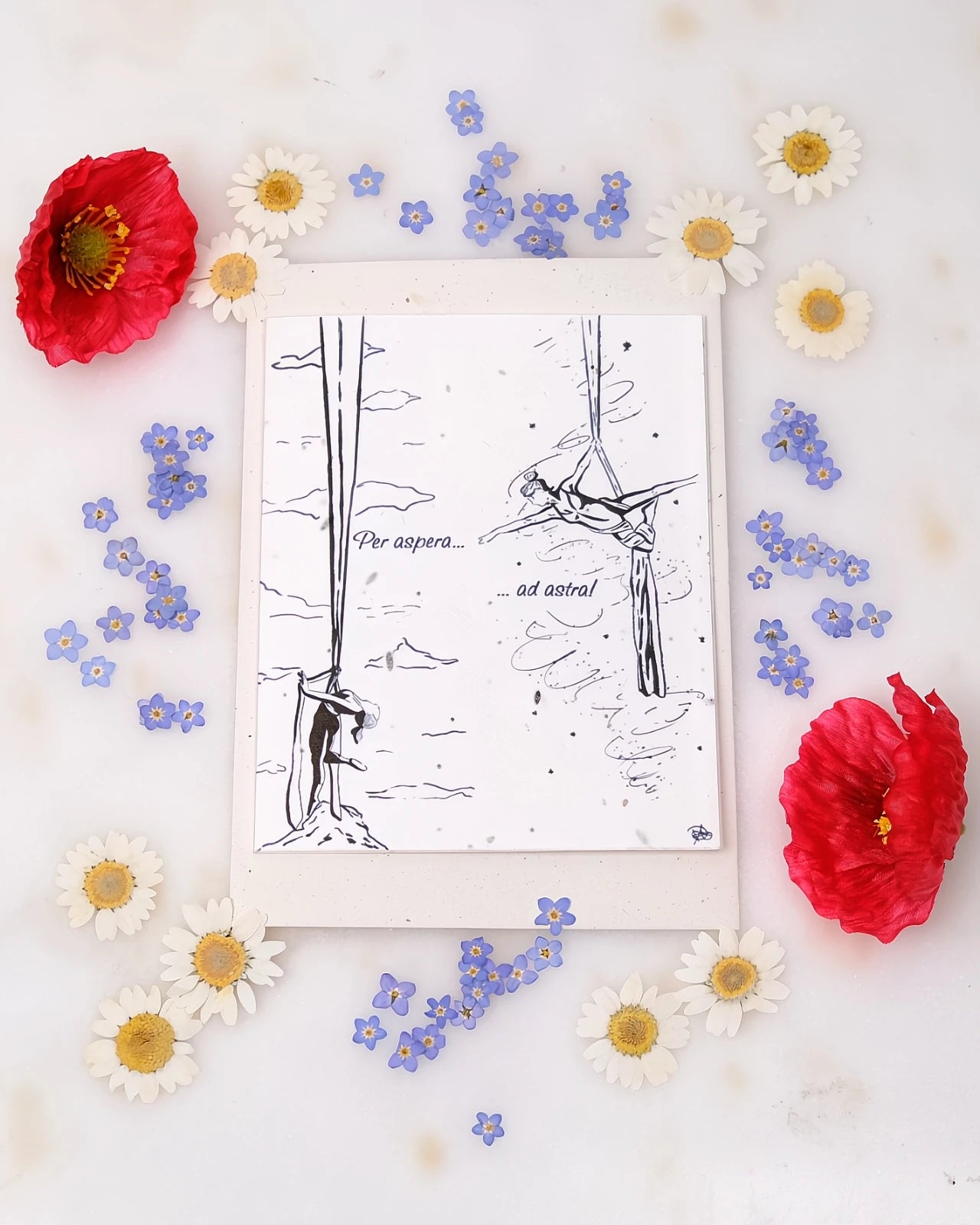 FlorienSoul | Biglietti di Auguri in Carta Piantabile