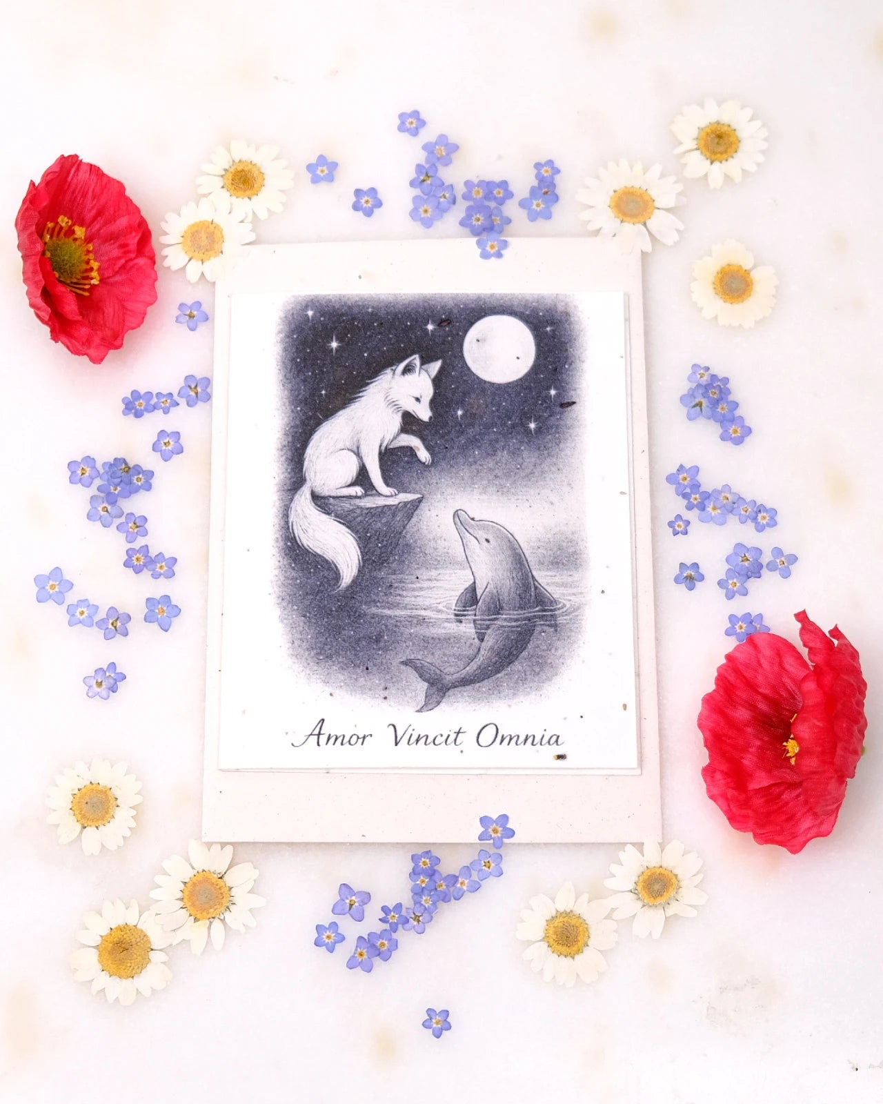 FlorienSoul | Biglietti di Auguri in Carta Piantabile