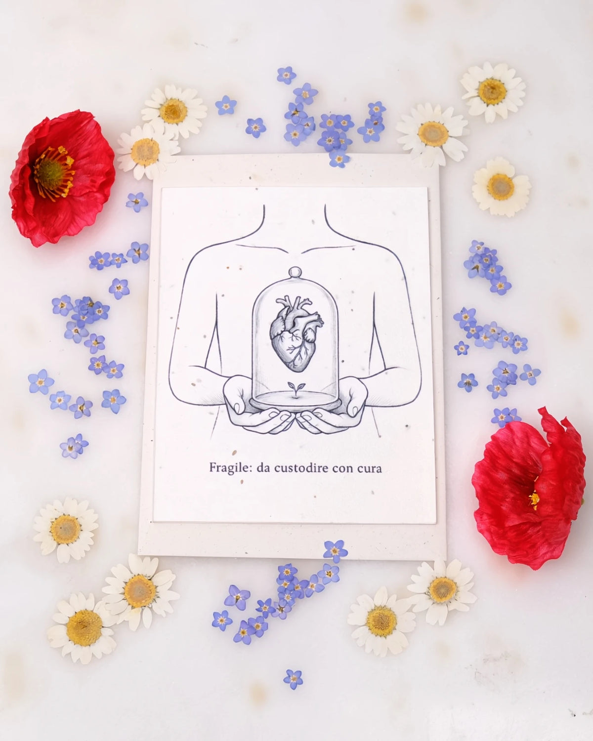 FlorienSoul | Biglietti di Auguri in Carta Piantabile