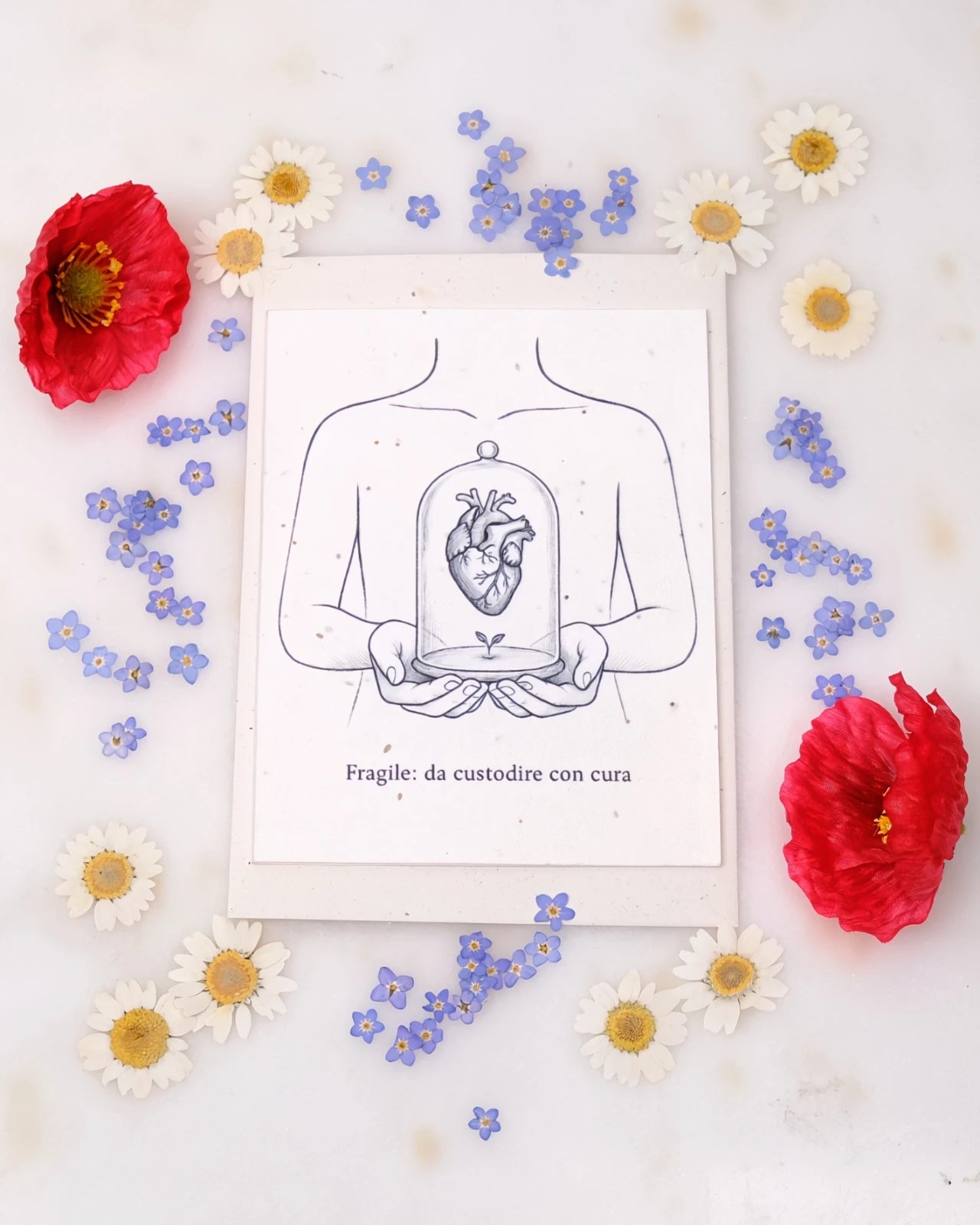 FlorienSoul | Biglietti di Auguri in Carta Piantabile