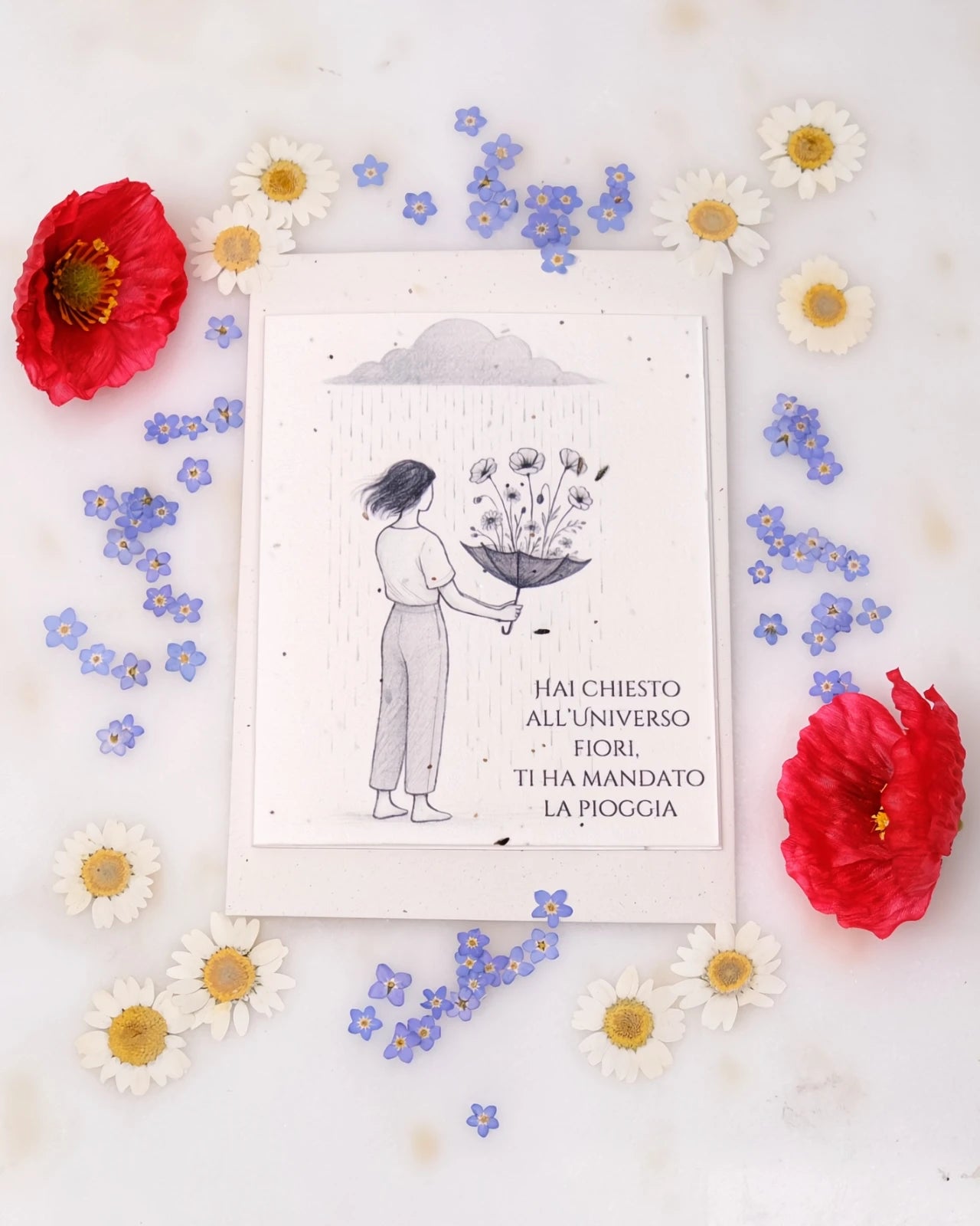 FlorienSoul | Biglietti di Auguri in Carta Piantabile